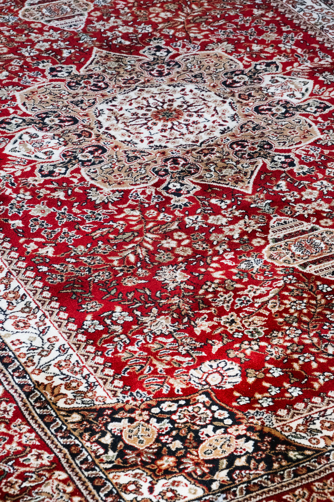 Benevolence 5235 Bordo