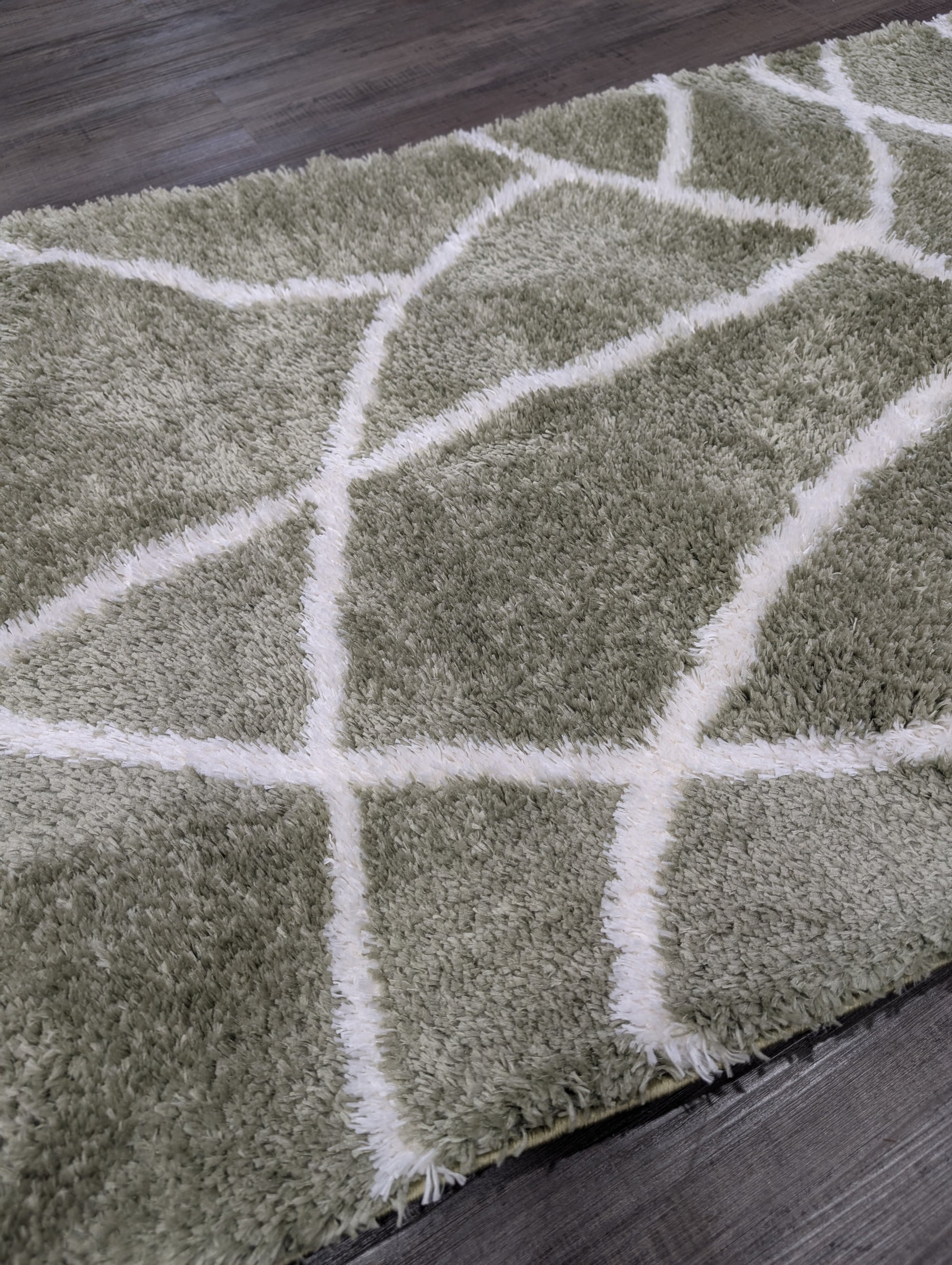 2 Jasmine shaggy 80 cm wide runner Green