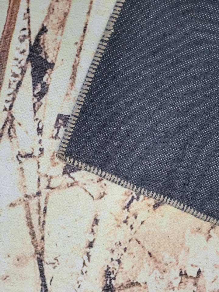 Cozy hidden face Washable Rug Size: 200 x 300cm