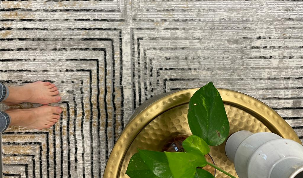 Ali Light Grey and Black Abstract Lines Rug