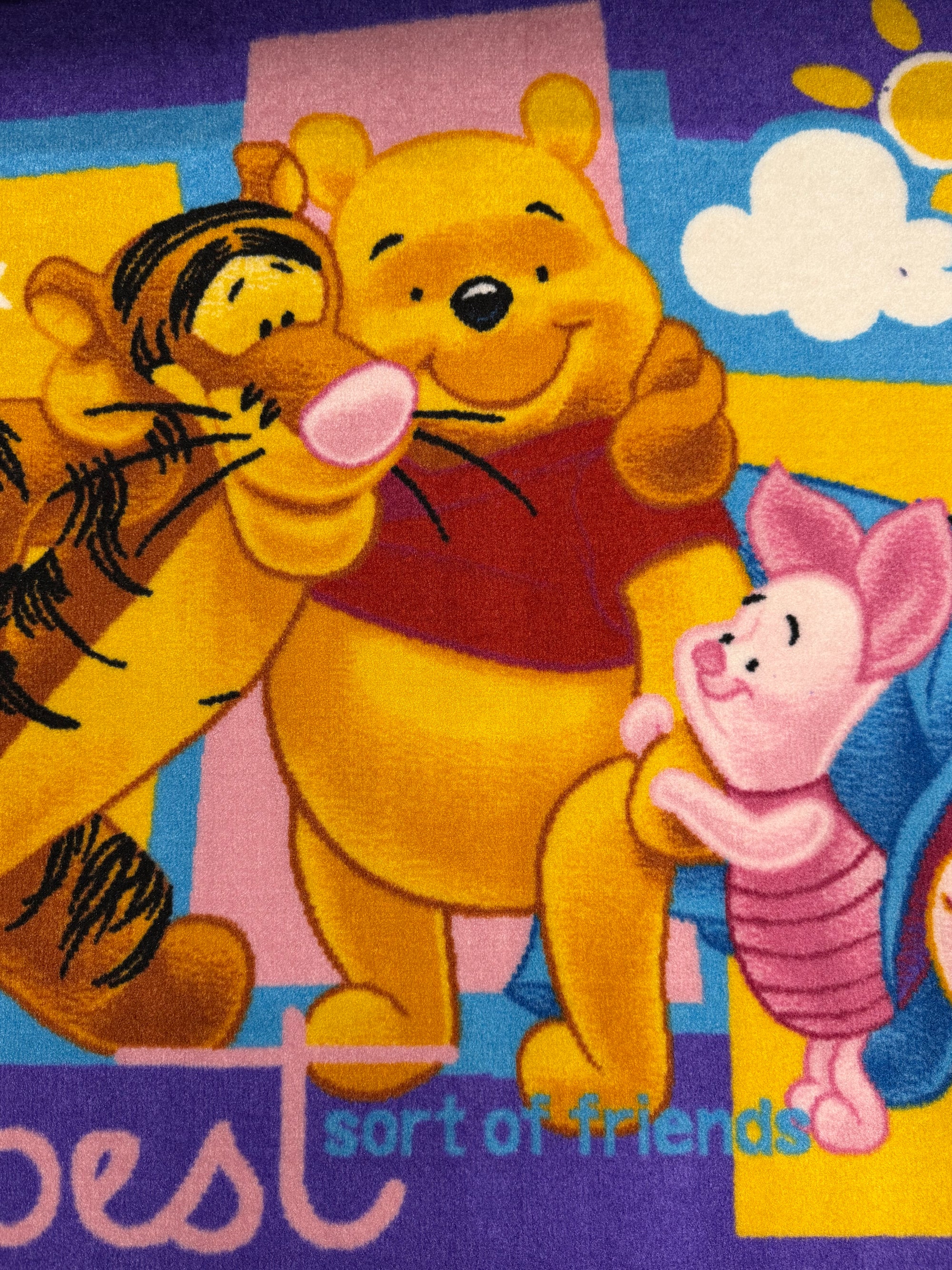 Winnie the Pooh Best Friends Kids Rug – Purple
