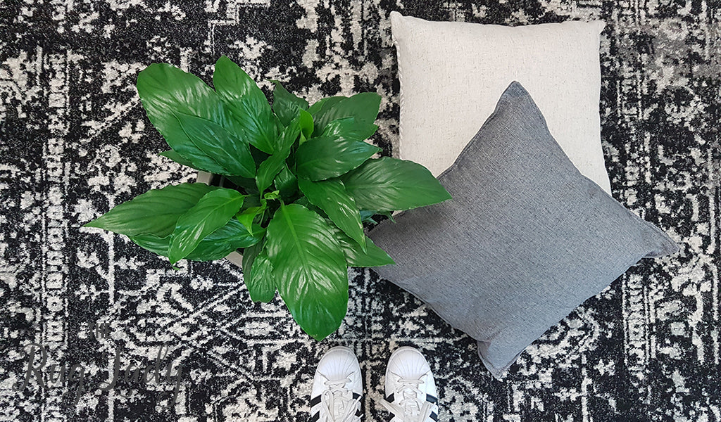 Awaken Charcoal Medallion Rug