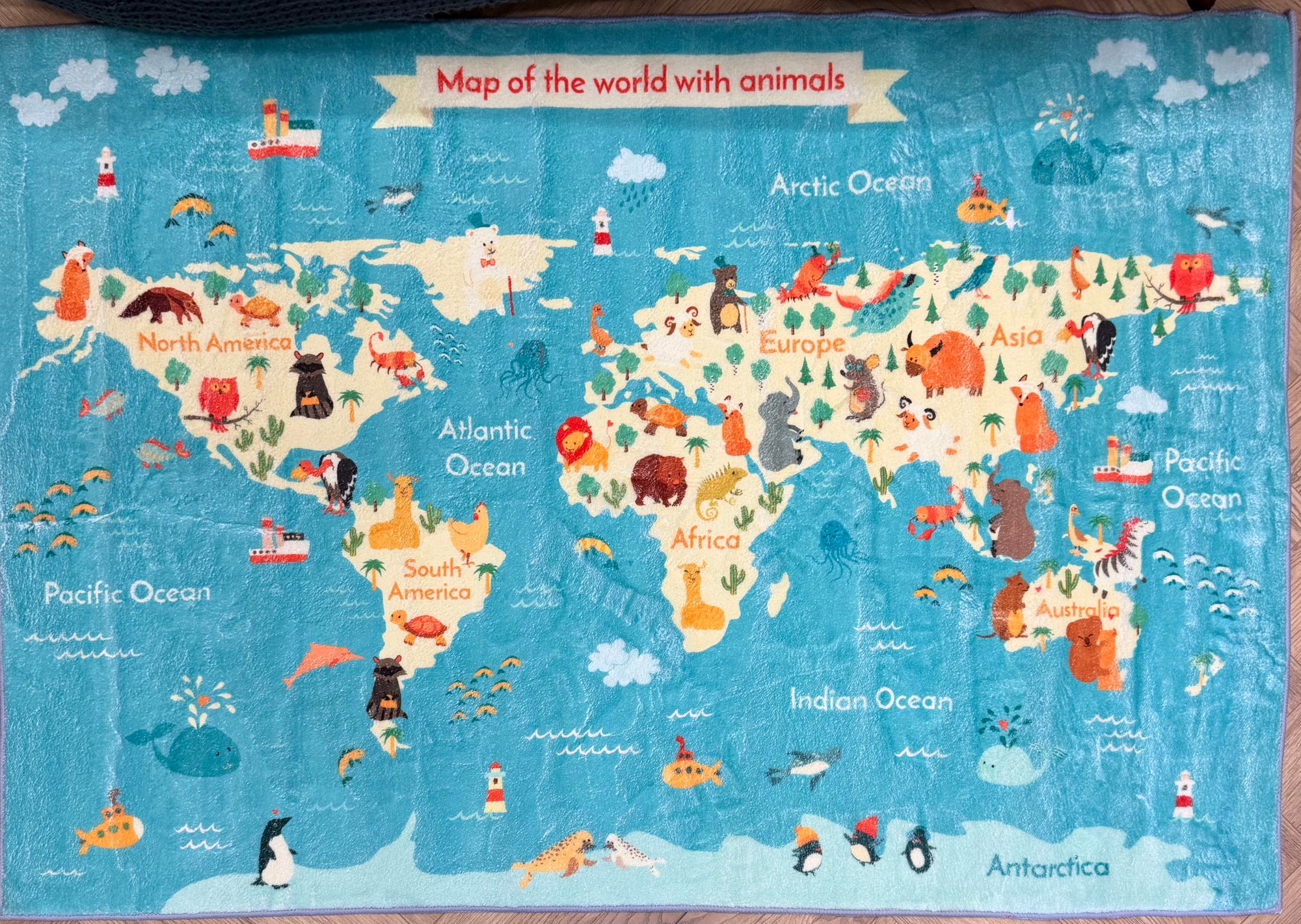 Kids Animal World Map Educational Rug 100x150cm