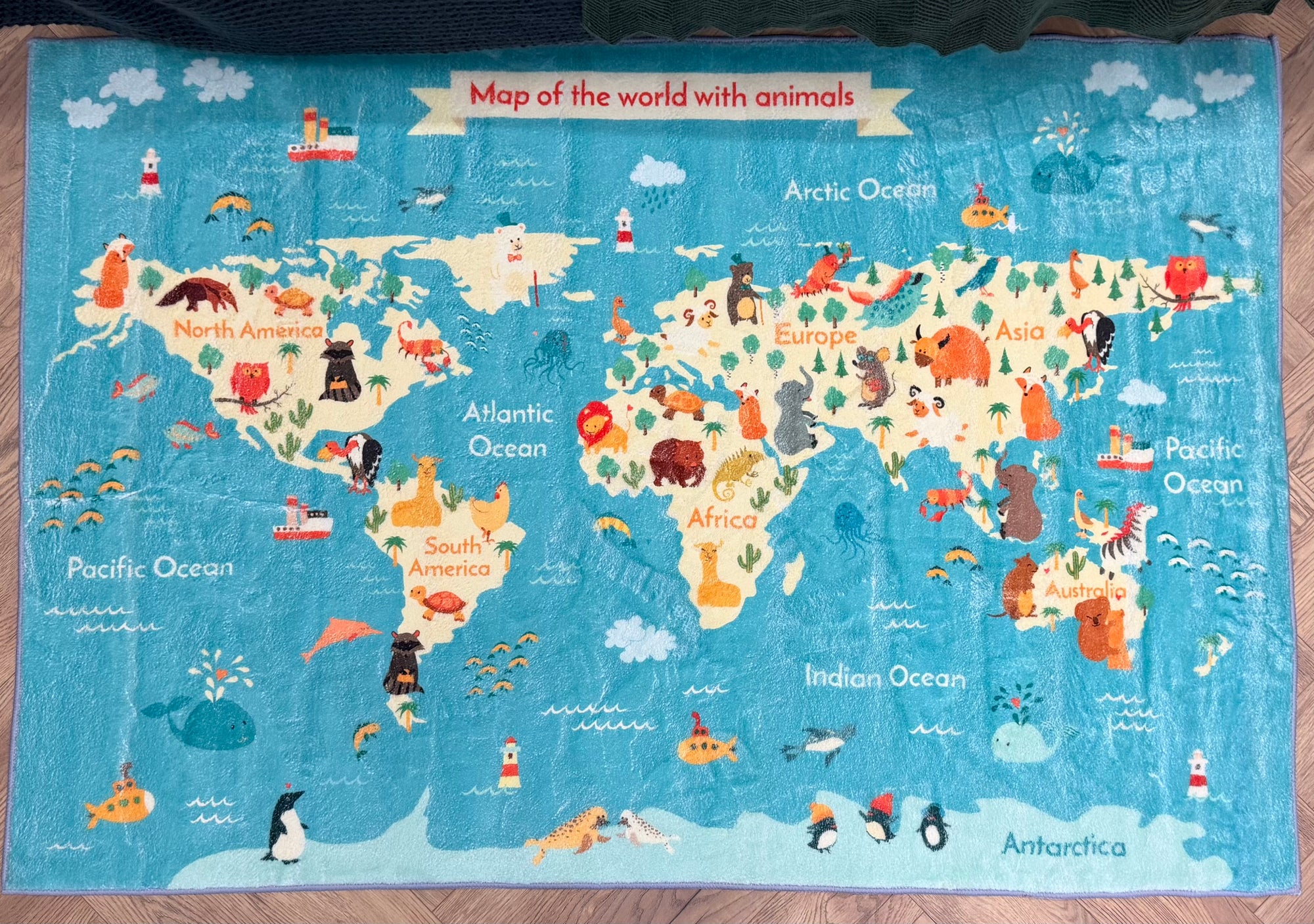 Kids Animal World Map Educational Rug 100x150cm