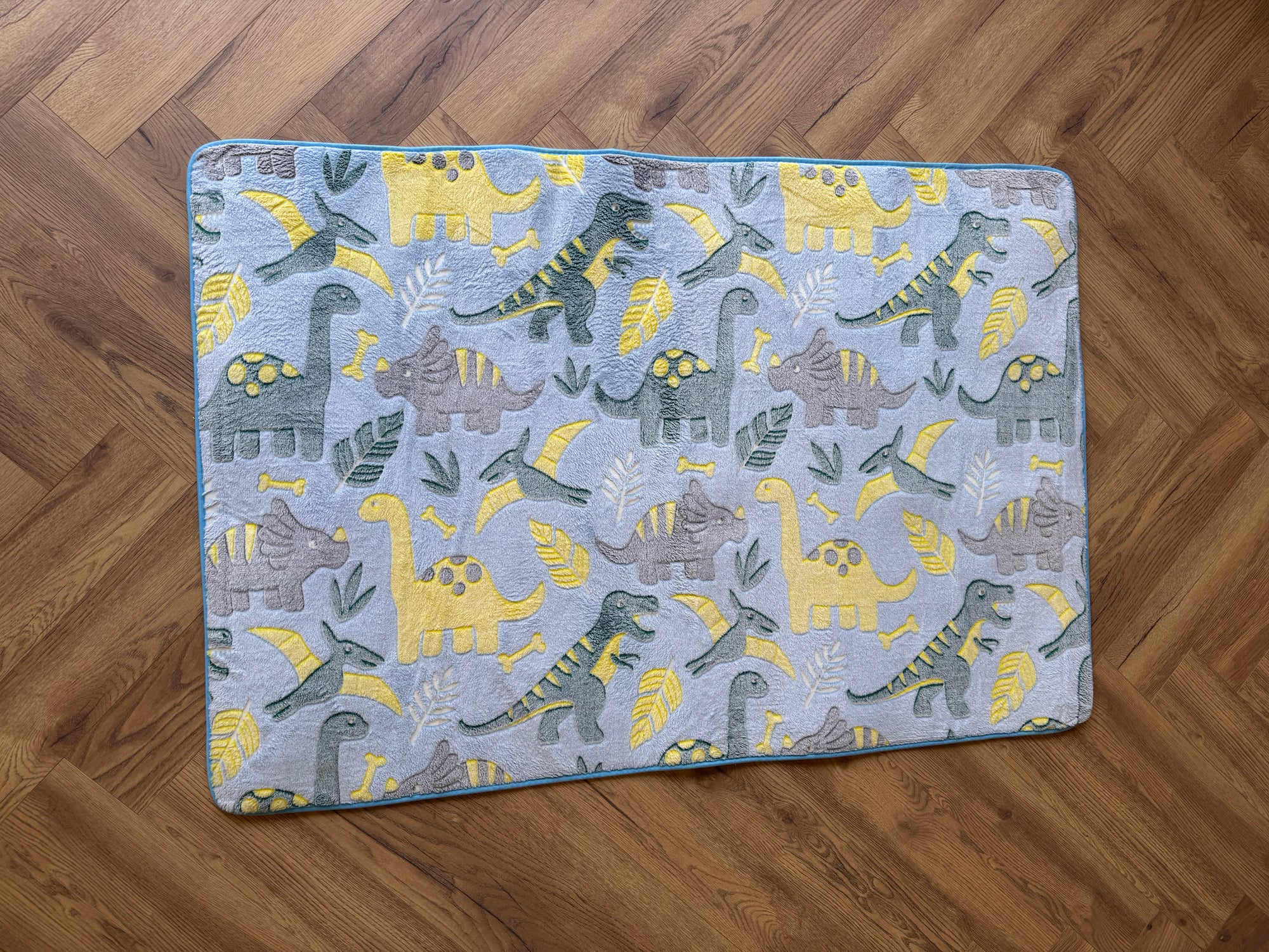 Little Explorers Dinosaur Kids Rug