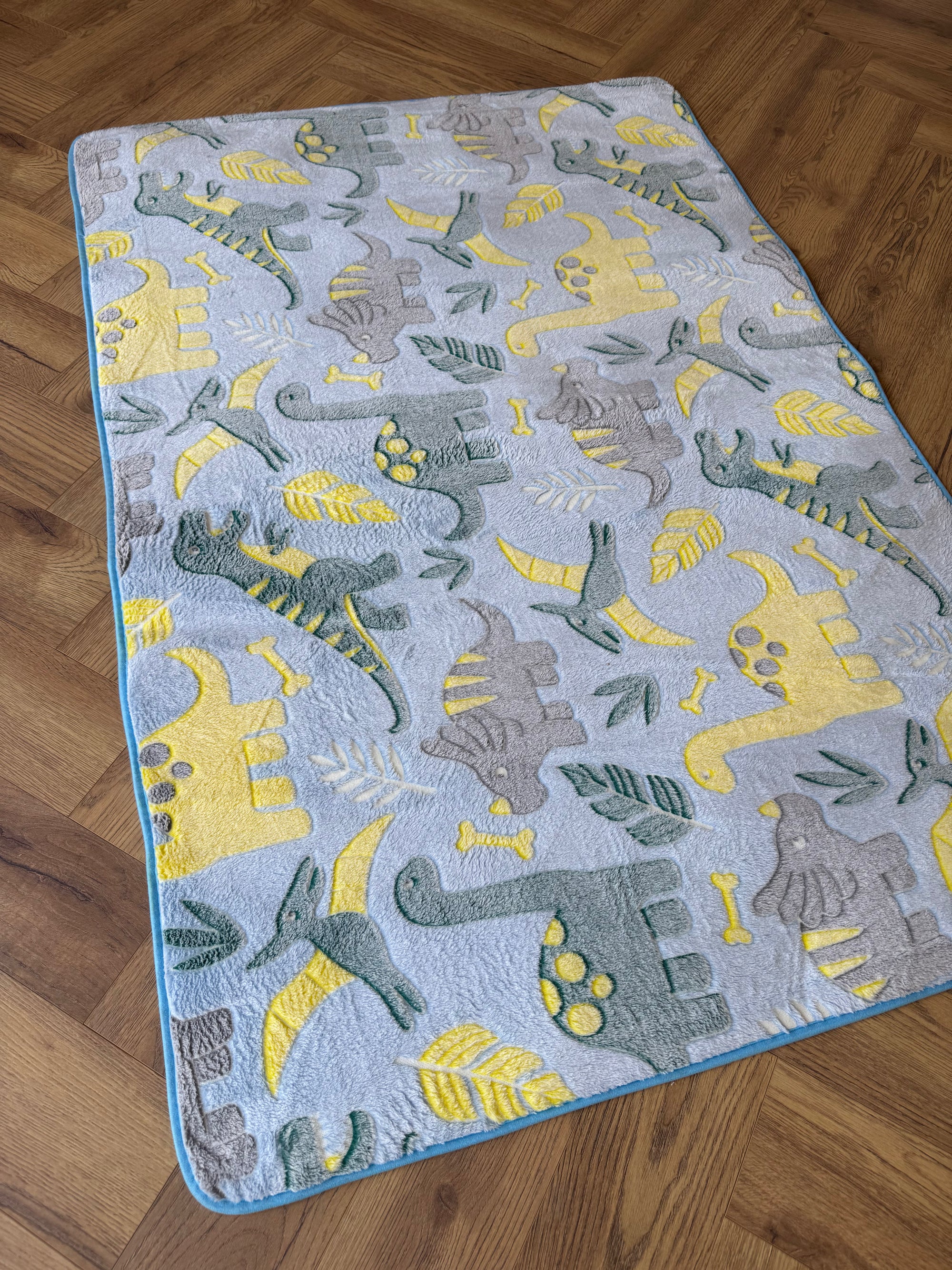 Little Explorers Dinosaur Kids Rug