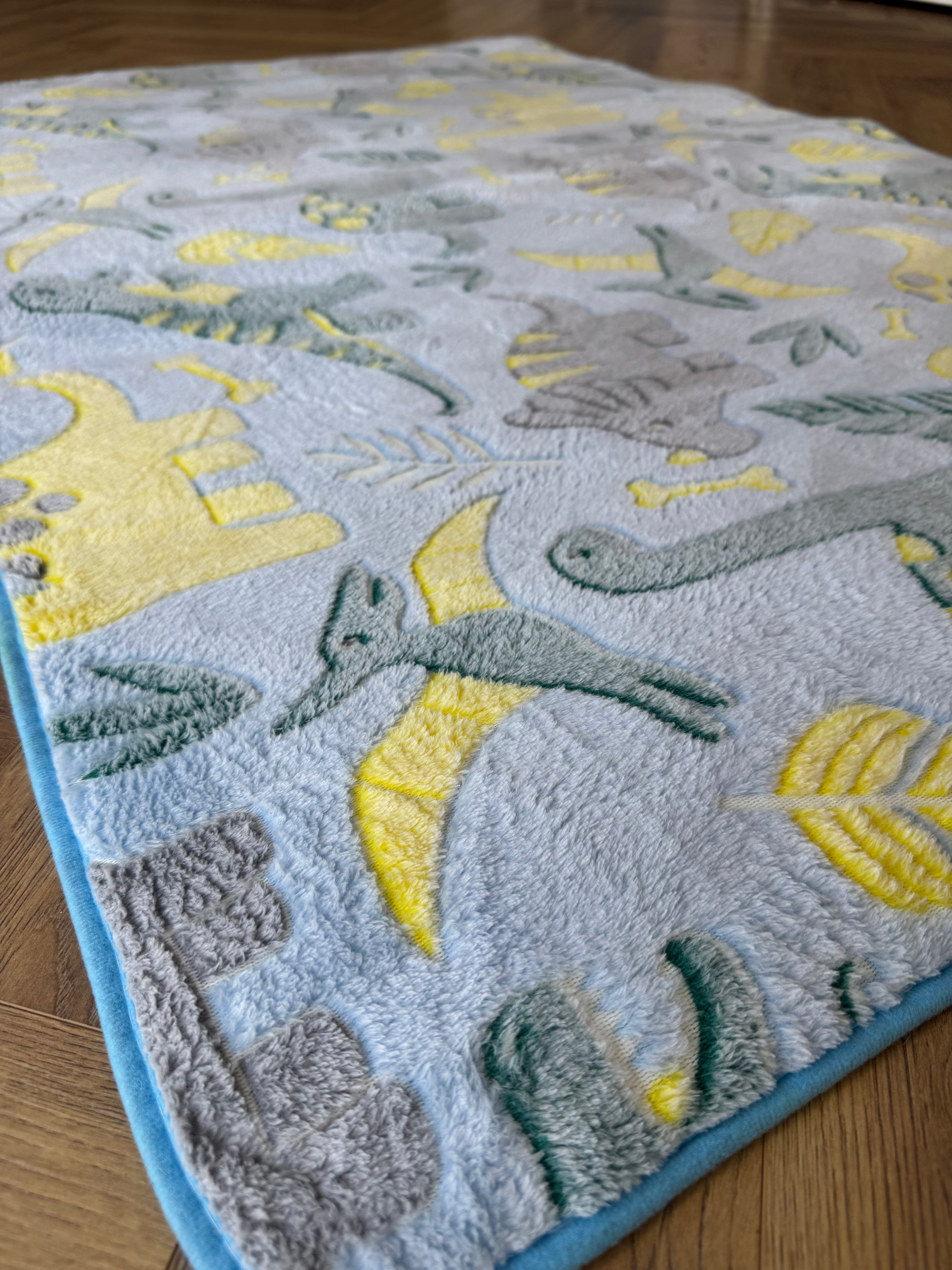 Little Explorers Dinosaur Kids Rug