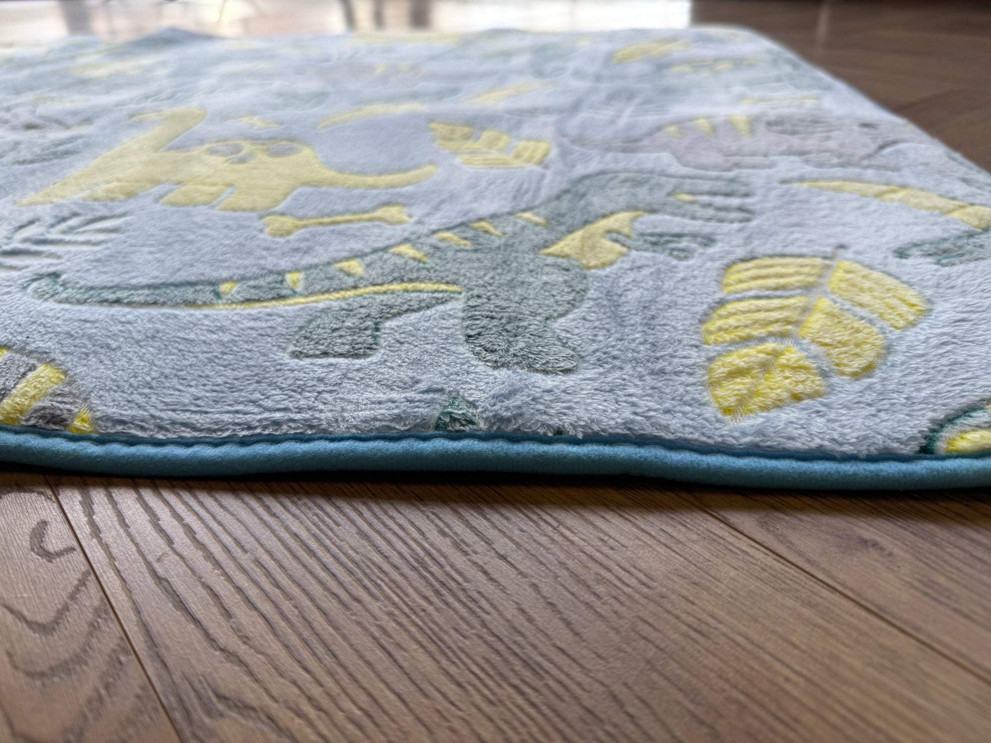 Little Explorers Dinosaur Kids Rug