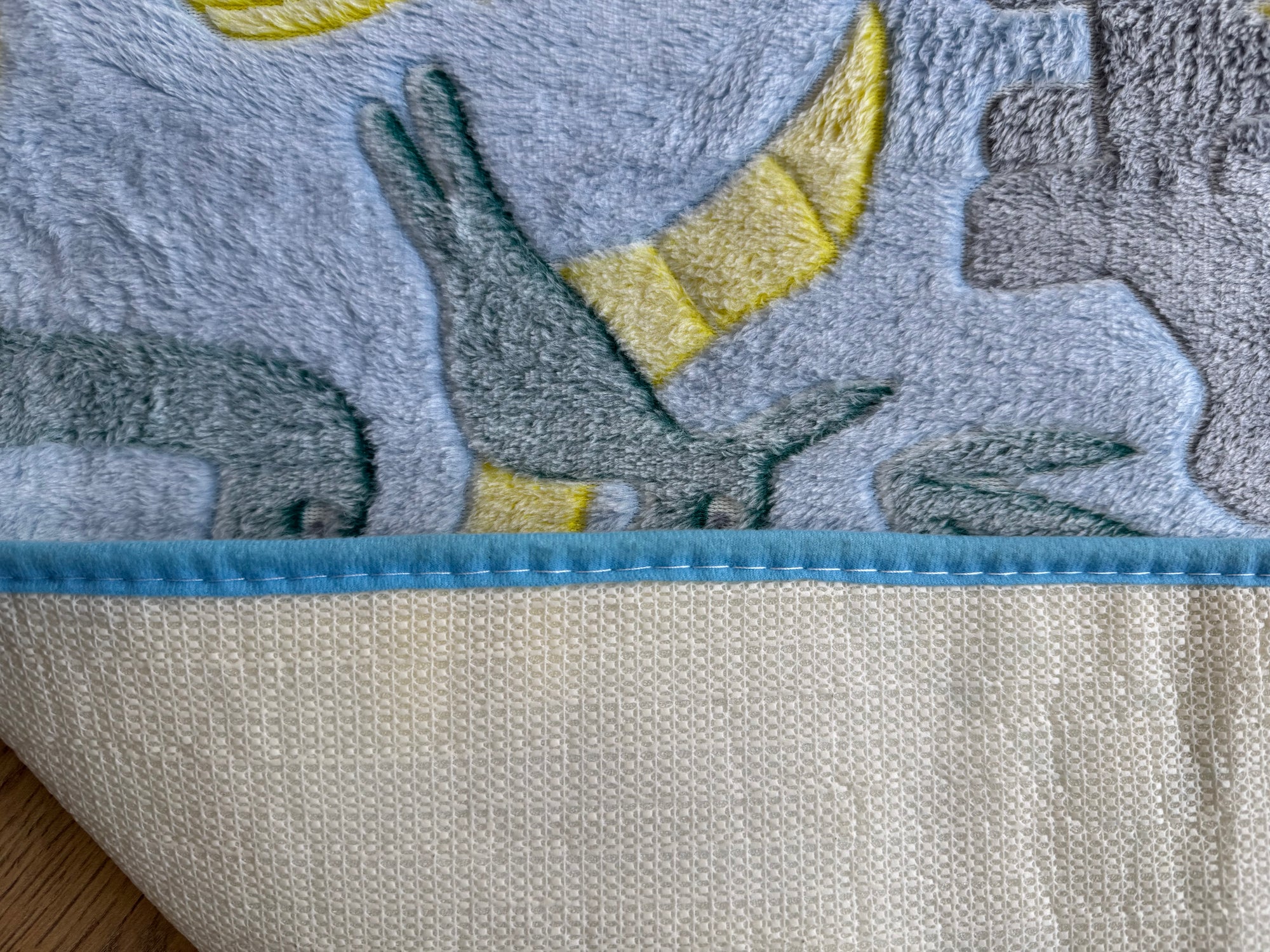 Little Explorers Dinosaur Kids Rug