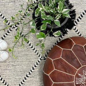Macey Black Ivory Lattice Wool Rug