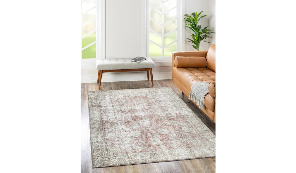 Vivien Natural Red Distressed Transitional Rug